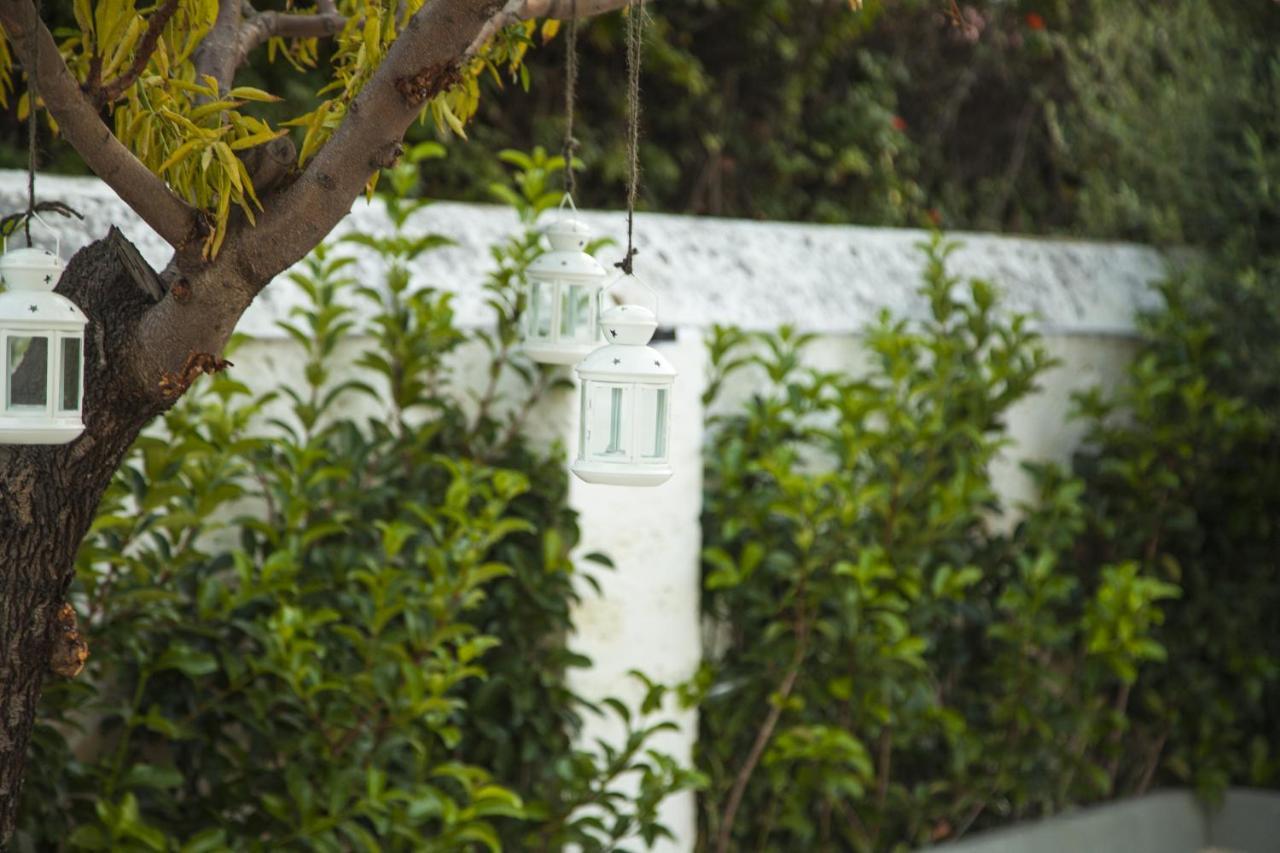 Villa Adelaide Suite & Room ตอร์เร อา มาเร ภายนอก รูปภาพ